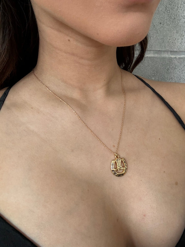 27 Horseshoe Pendant Necklace