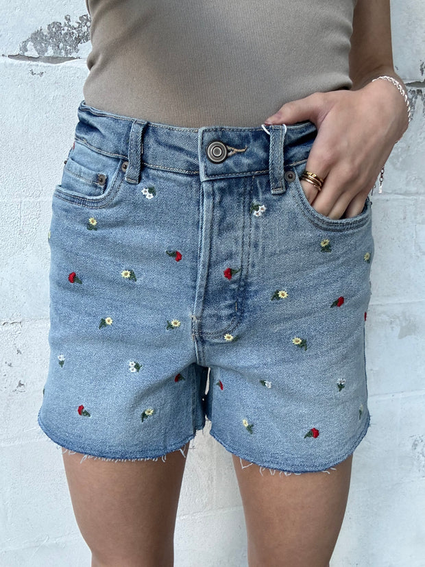 DEX Frayed Hem Embroidered Denim Shorts