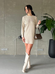 DEX Crewneck Mini Sweater Dress