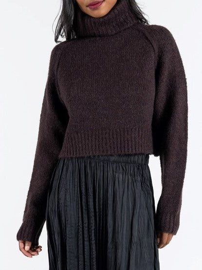 C'EST MOI Knit Crop Turtleneck Sweater