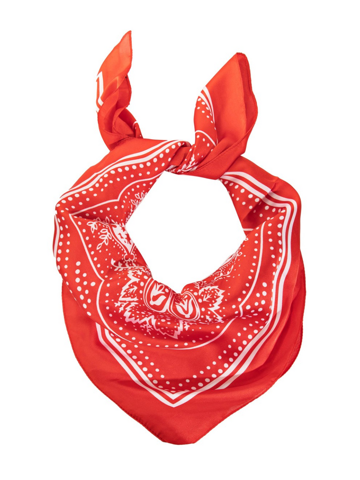 27 Paisley Bandana