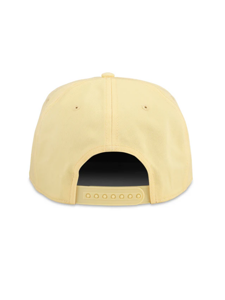 AMERICAN NEEDLE Tom Petty Roscoe Hat