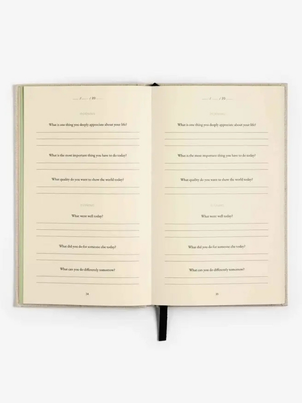 INTELLIGENT CHANGE The Three Question Journal