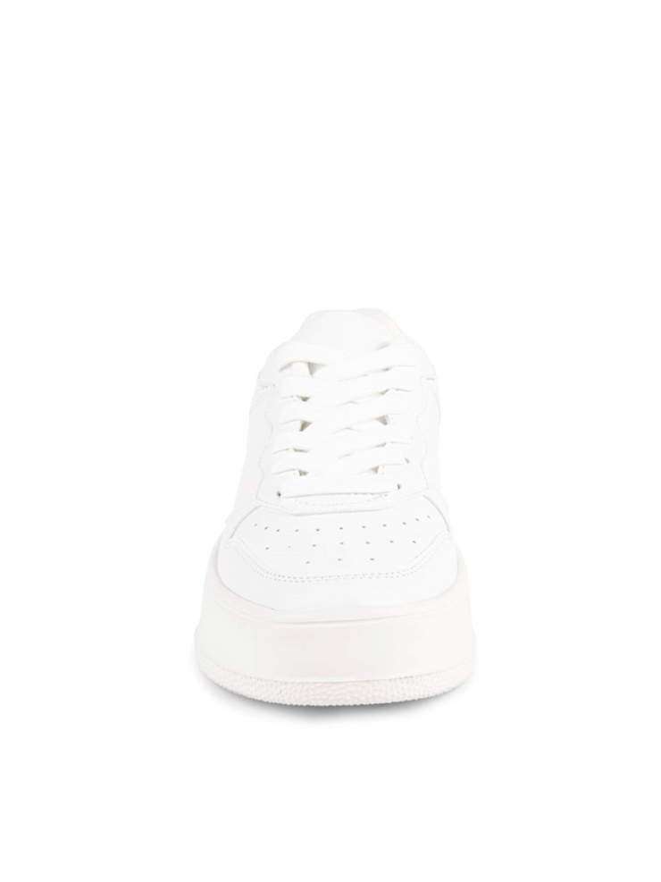 STEVE MADDEN Becket Sneaker