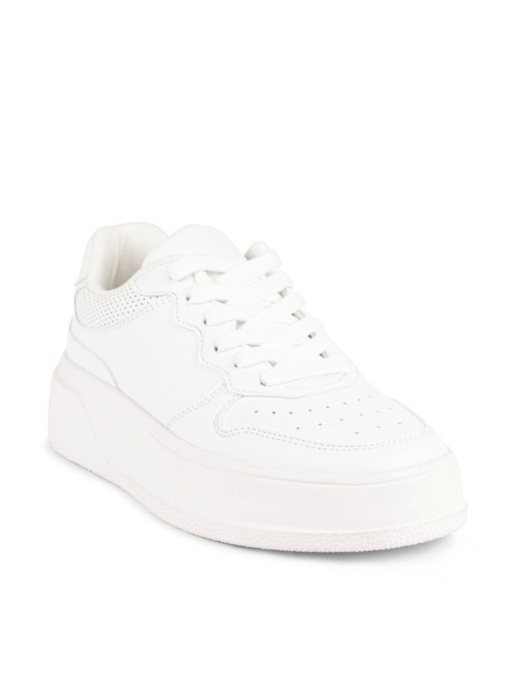 STEVE MADDEN Becket Sneaker