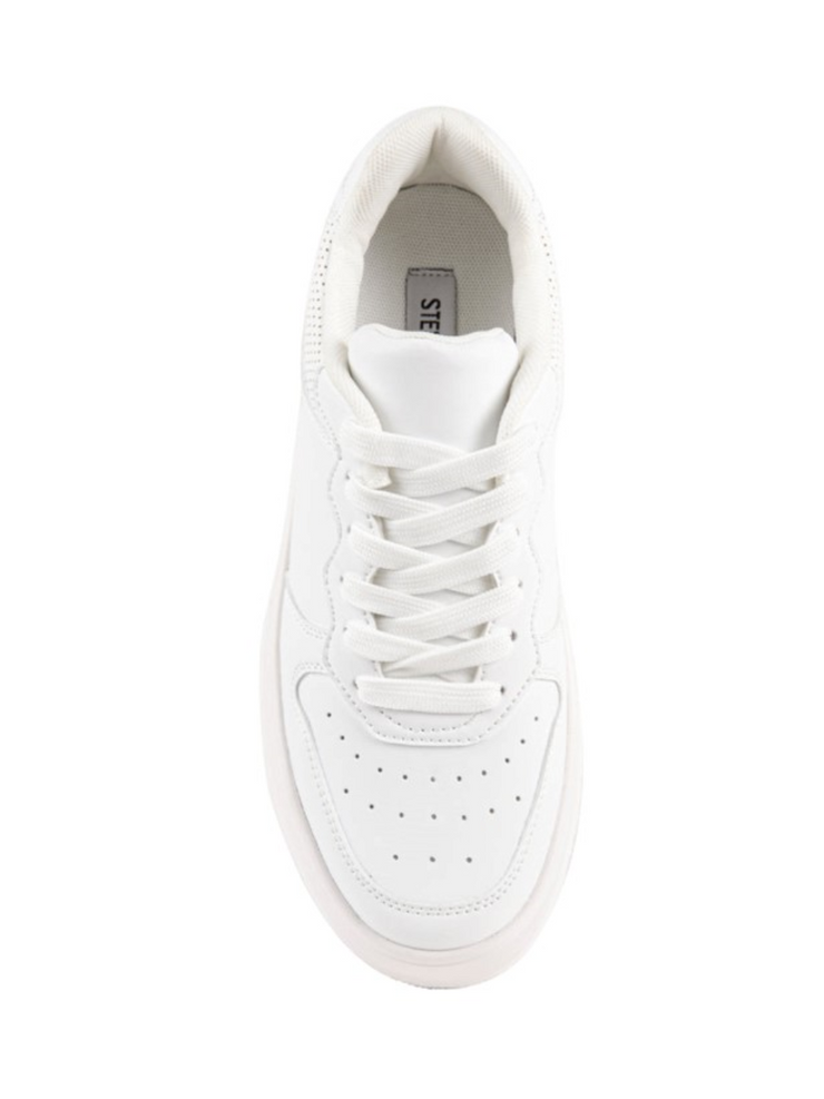 STEVE MADDEN Becket Sneaker