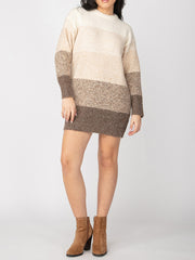 DEX Long Sleeve Color Block Sweater Dress